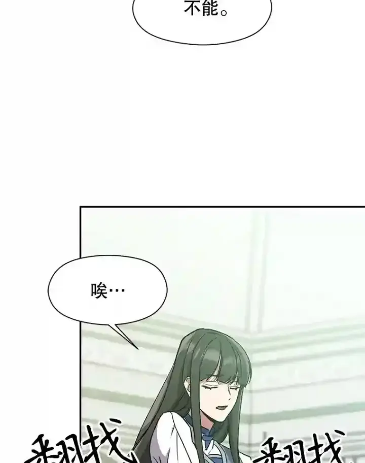 《超越回归的大魔导师》25.艾琳的加入图28