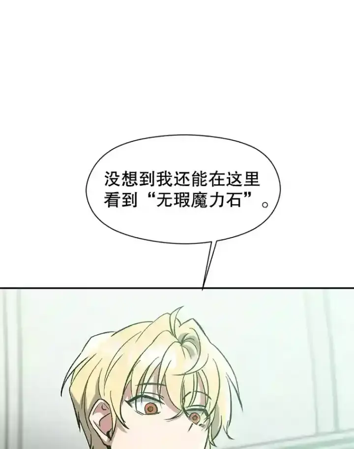 《超越回归的大魔导师》25.艾琳的加入图31