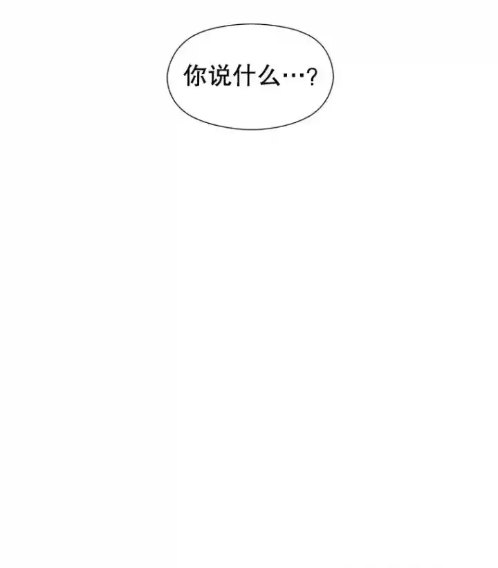 《超越回归的大魔导师》29.神秘人图100
