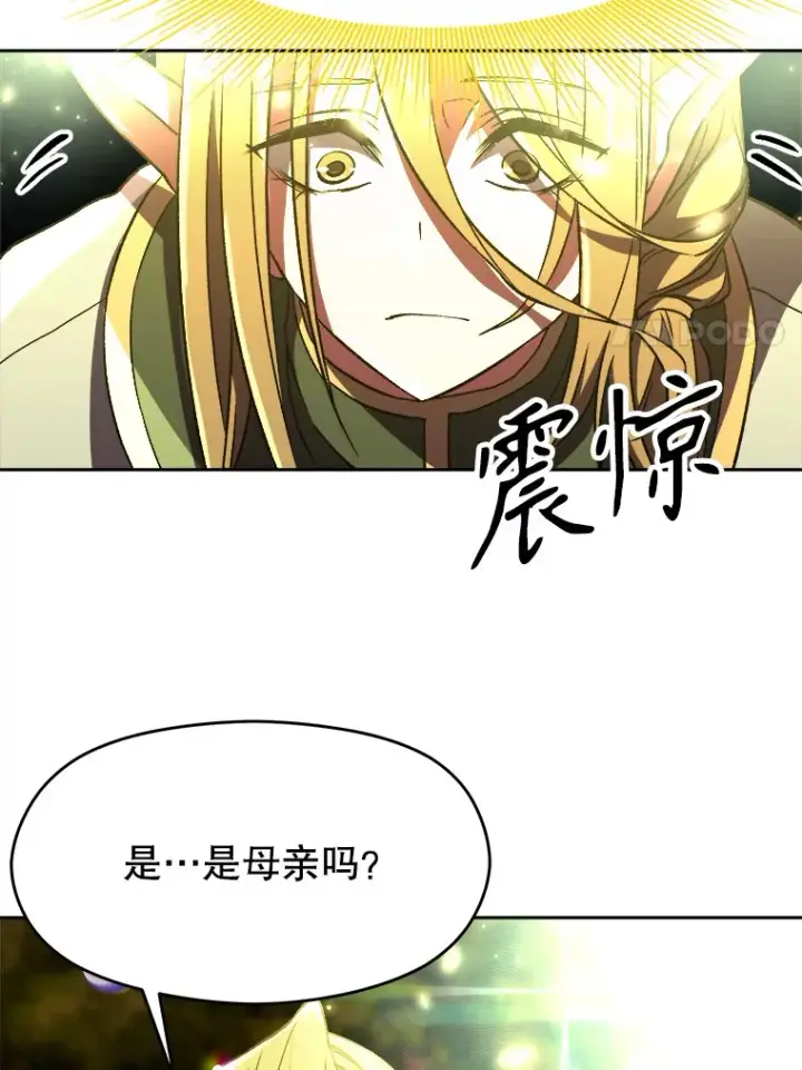 《超越回归的大魔导师》39.面见精灵王图11