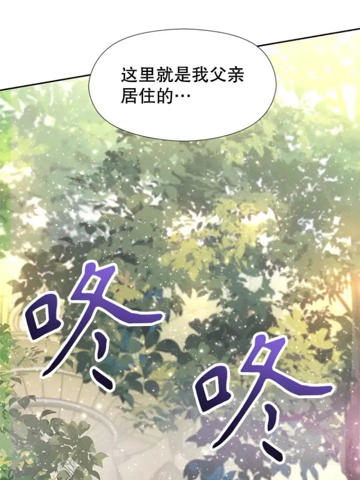 《超越回归的大魔导师》39.面见精灵王图67
