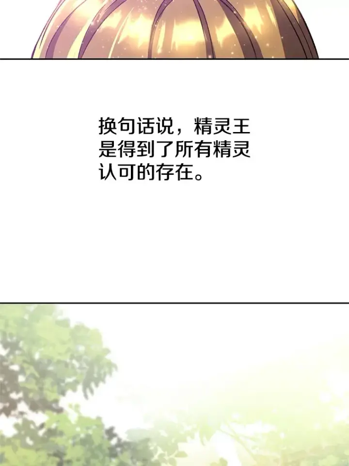 《超越回归的大魔导师》39.面见精灵王图74