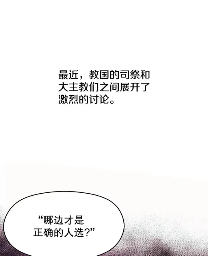 《超越回归的大魔导师》52.教皇的支持图26