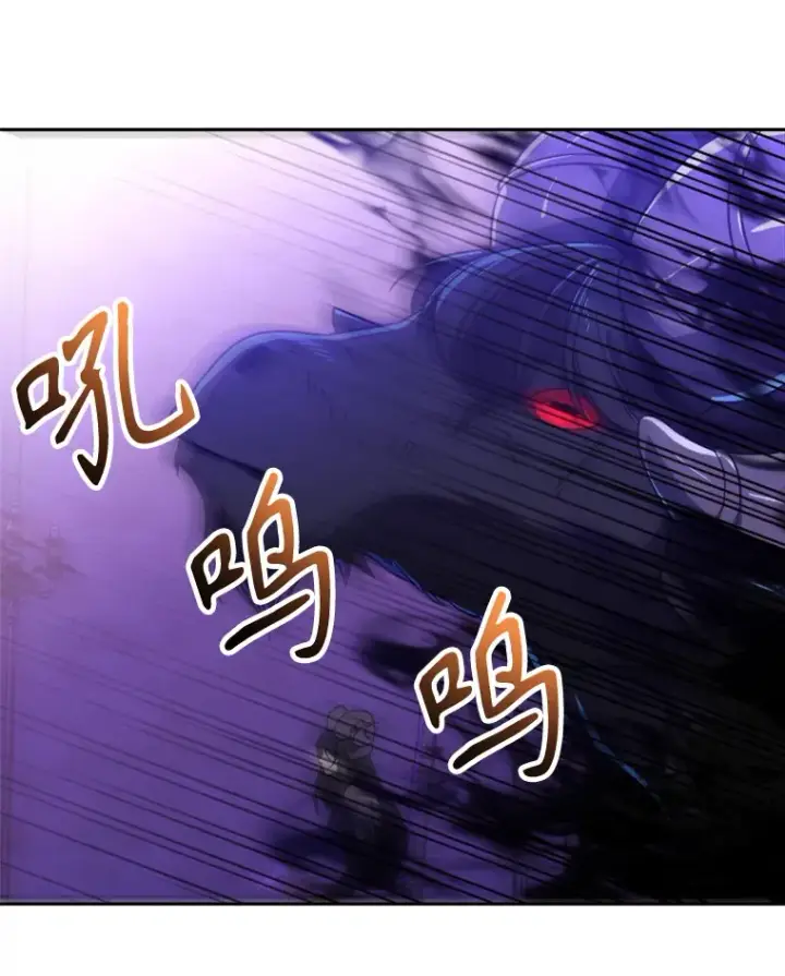 《超越回归的大魔导师》71.荣任勇士图18