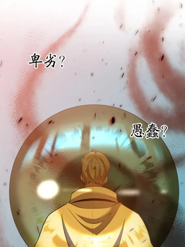 《超越回归的大魔导师》96.面见皇帝图106