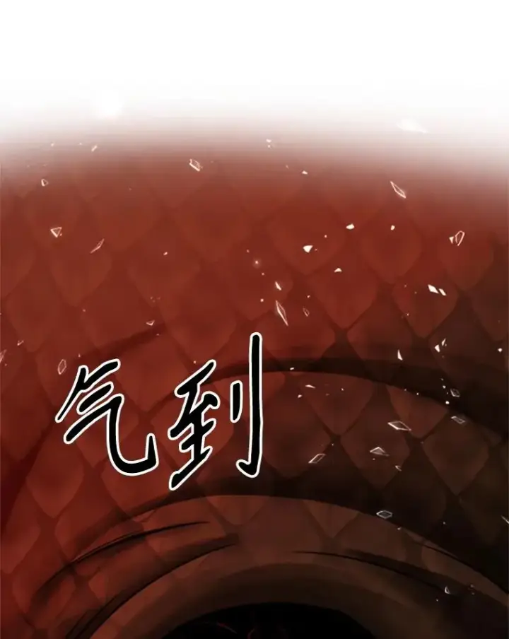 《超越回归的大魔导师》108.目的达成图123