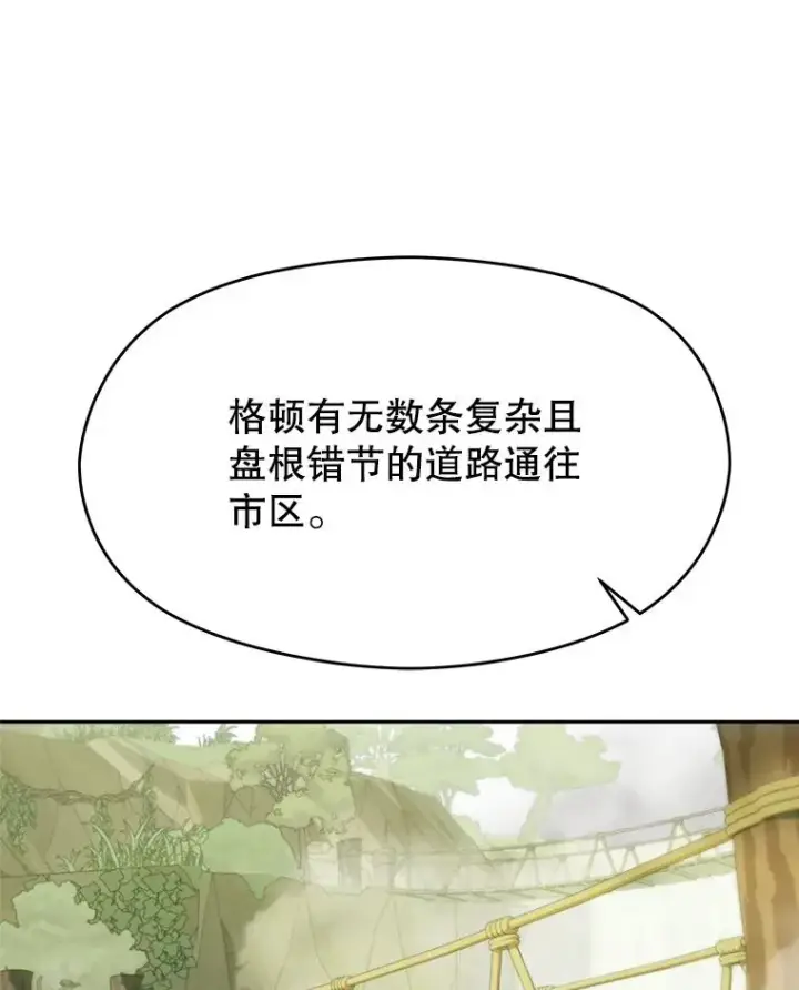 《超越回归的大魔导师》111.来到格顿图12