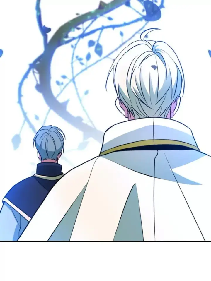 《超越回归的大魔导师》118.过去的记忆图27