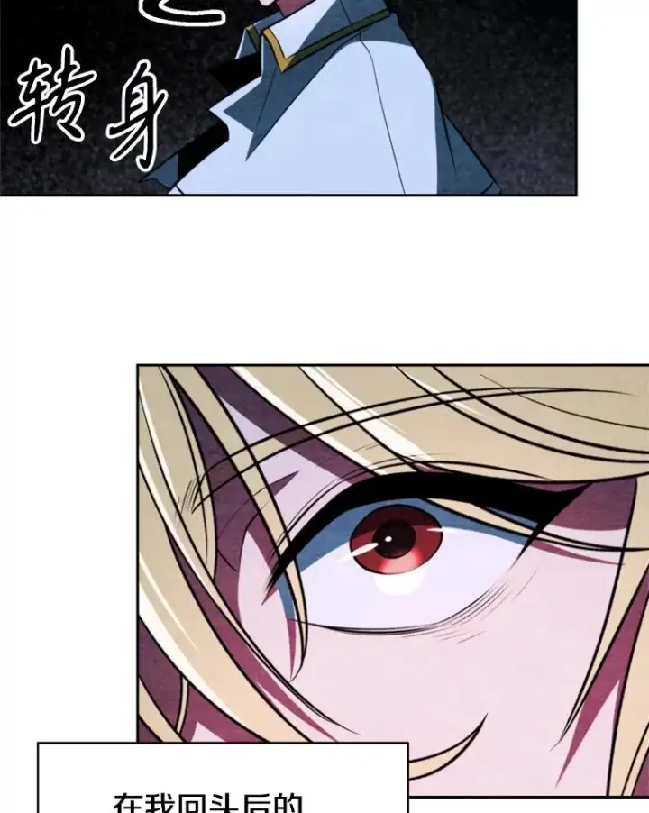 《超越回归的大魔导师》118.过去的记忆图84