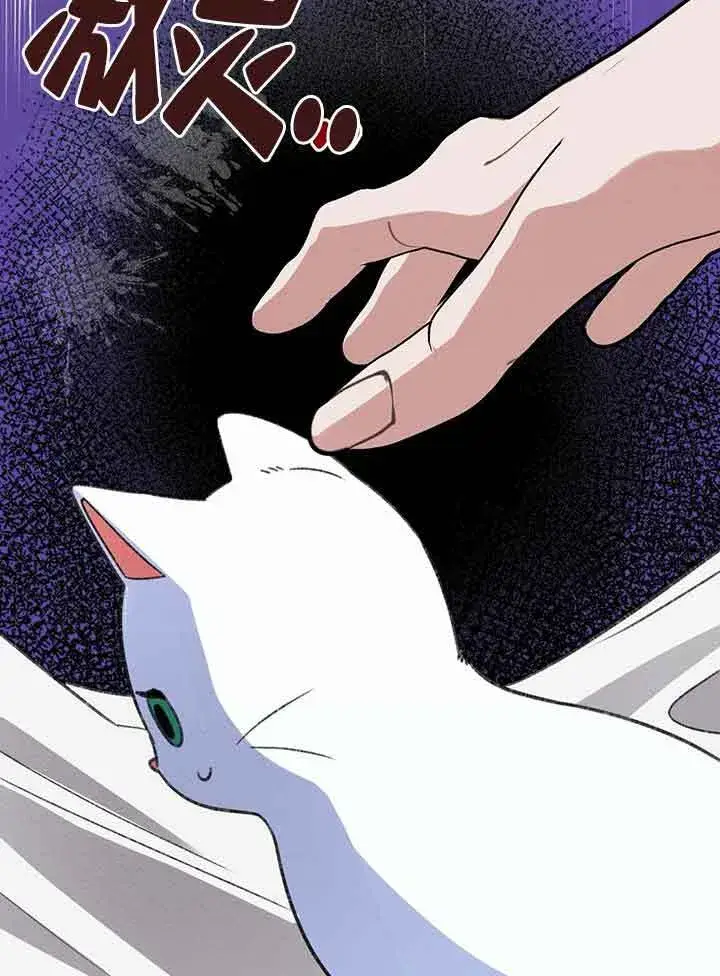 《成了每晚和偏执暴君共眠的猫》第01话图103