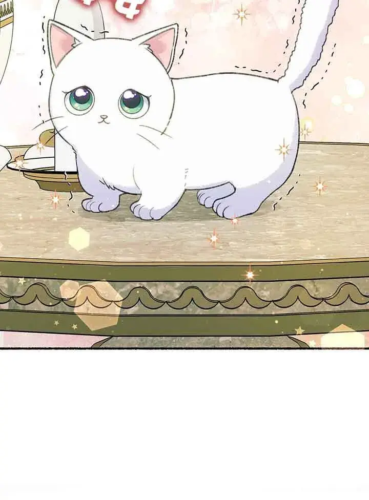 《成了每晚和偏执暴君共眠的猫》第01话图115