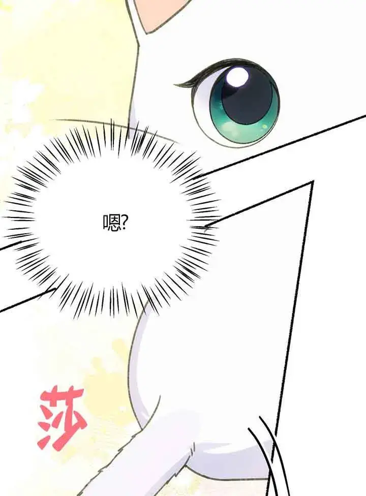 《成了每晚和偏执暴君共眠的猫》第01话图26