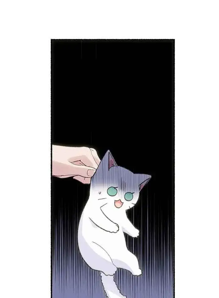《成了每晚和偏执暴君共眠的猫》第01话图28