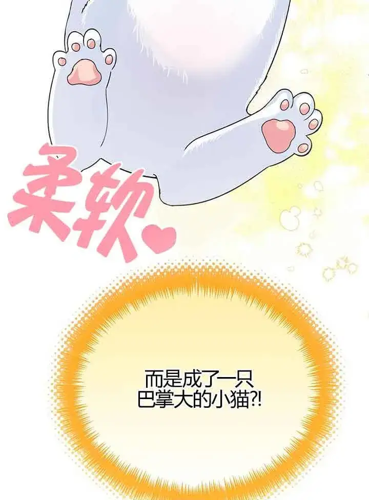 《成了每晚和偏执暴君共眠的猫》第01话图38