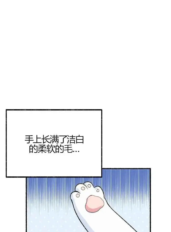 《成了每晚和偏执暴君共眠的猫》第01话图40