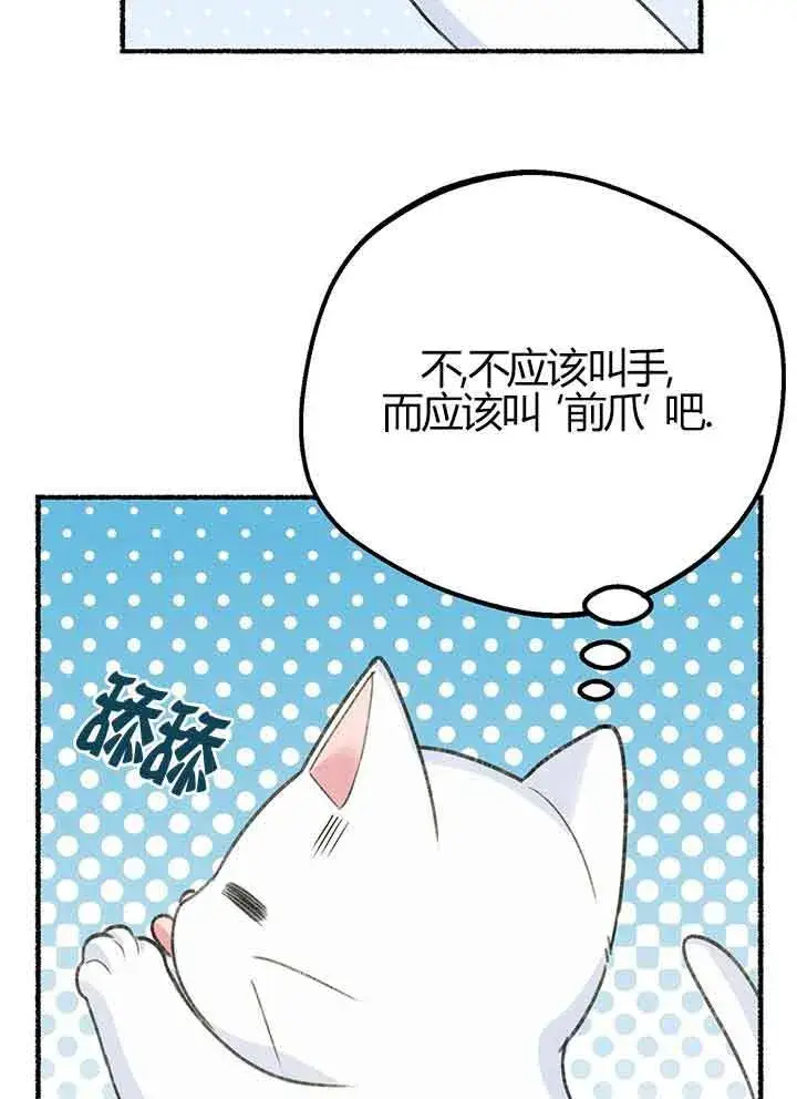 《成了每晚和偏执暴君共眠的猫》第01话图41
