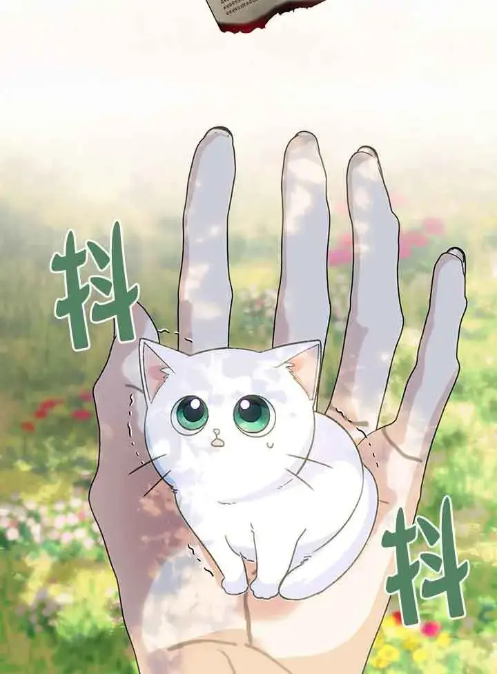 《成了每晚和偏执暴君共眠的猫》第01话图64
