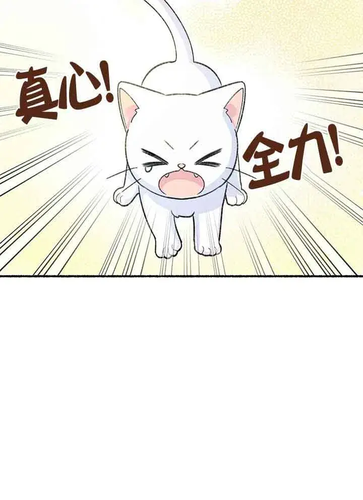 《成了每晚和偏执暴君共眠的猫》第01话图87