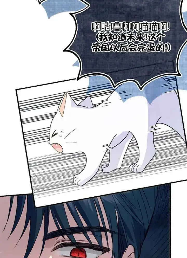 《成了每晚和偏执暴君共眠的猫》第01话图92