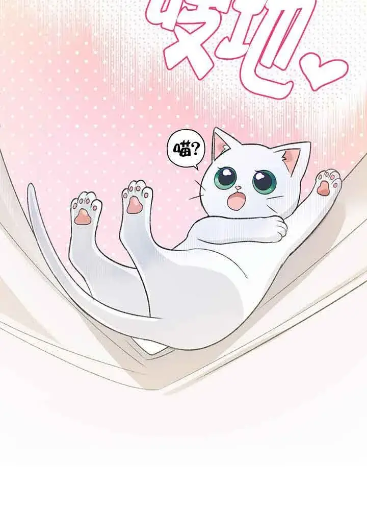《成了每晚和偏执暴君共眠的猫》第01话图94