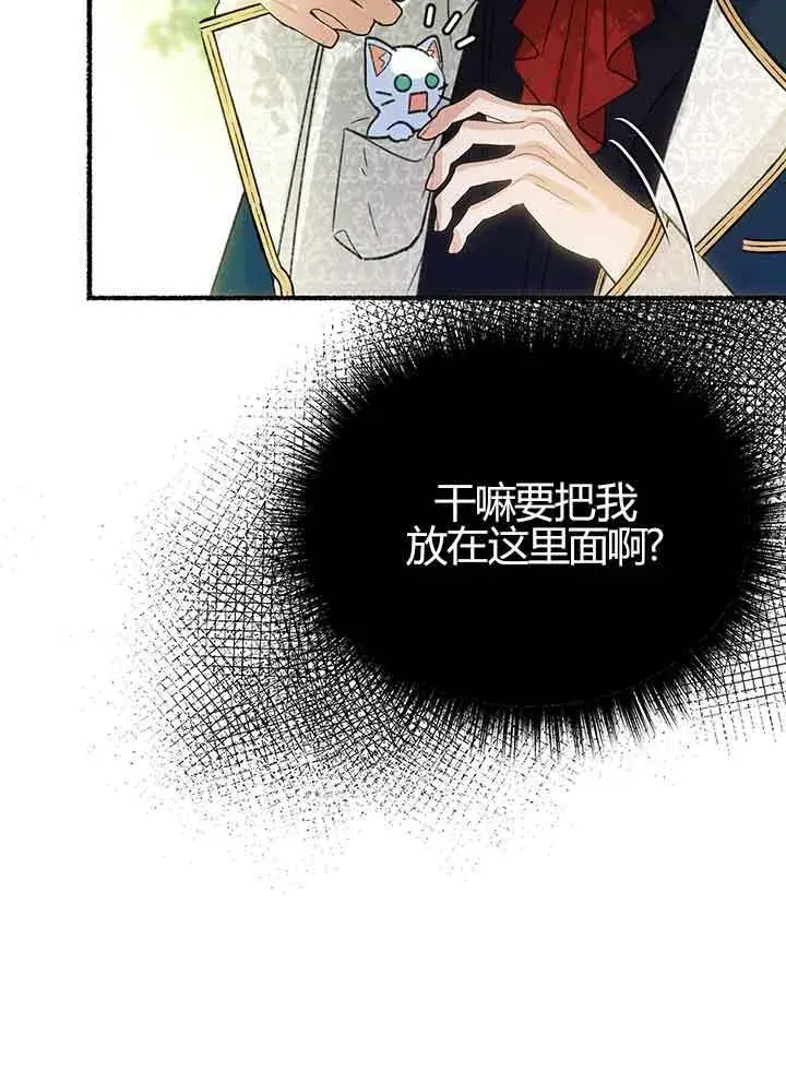《成了每晚和偏执暴君共眠的猫》第01话图96