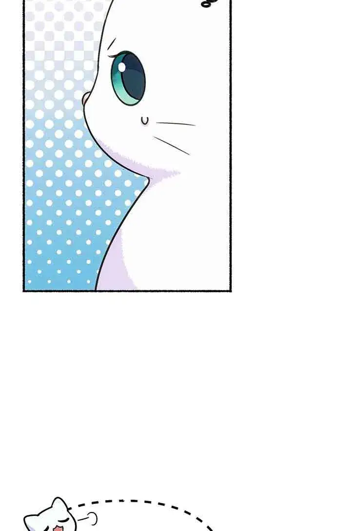 《成了每晚和偏执暴君共眠的猫》第02话图22