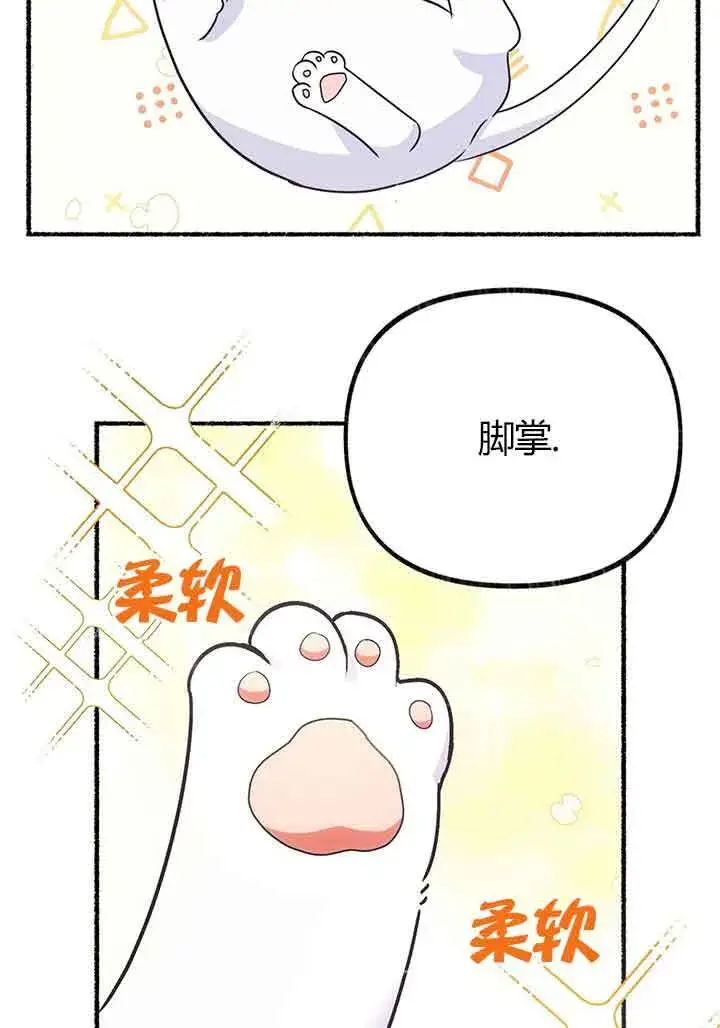 《成了每晚和偏执暴君共眠的猫》第02话图5