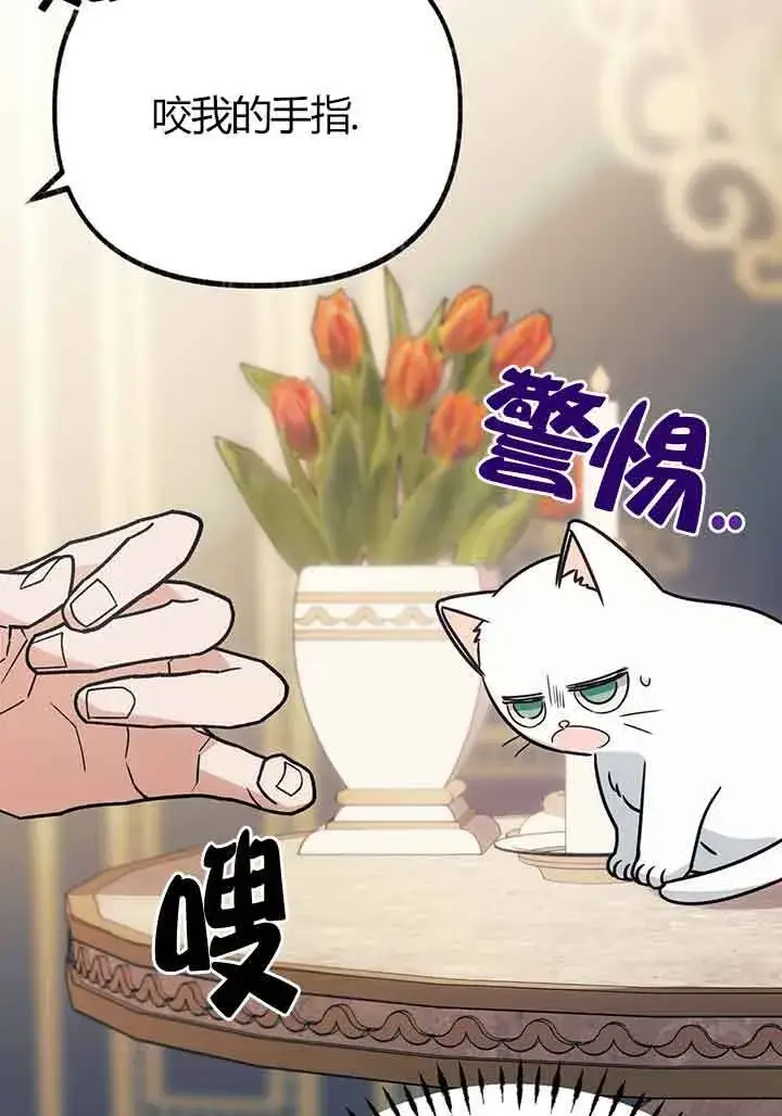 《成了每晚和偏执暴君共眠的猫》第02话图7