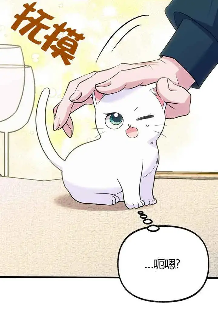 《成了每晚和偏执暴君共眠的猫》第03话图12