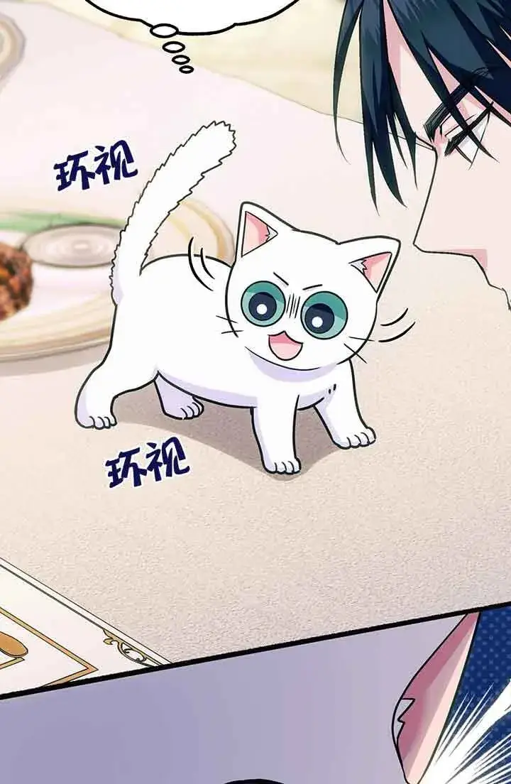 《成了每晚和偏执暴君共眠的猫》第03话图19
