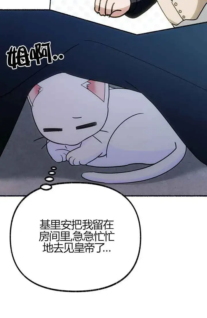 《成了每晚和偏执暴君共眠的猫》第03话图75