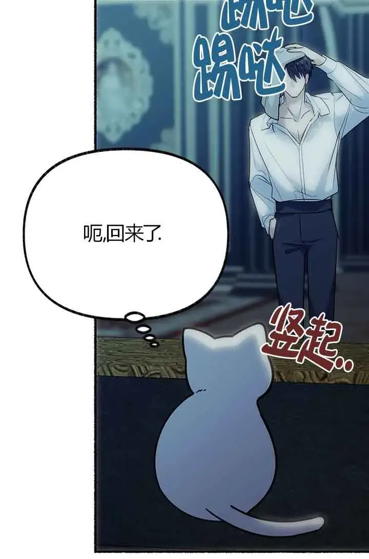 《成了每晚和偏执暴君共眠的猫》第03话图87