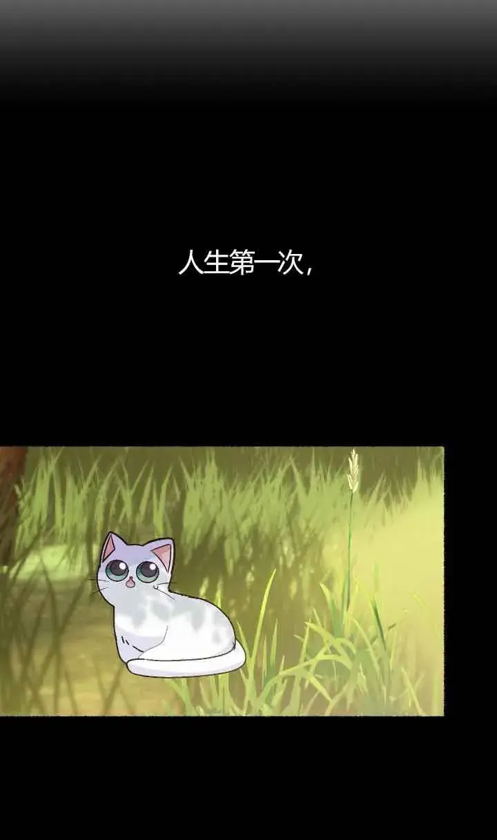 漫画《成了每晚和偏执暴君共眠的猫》第04话第12张图