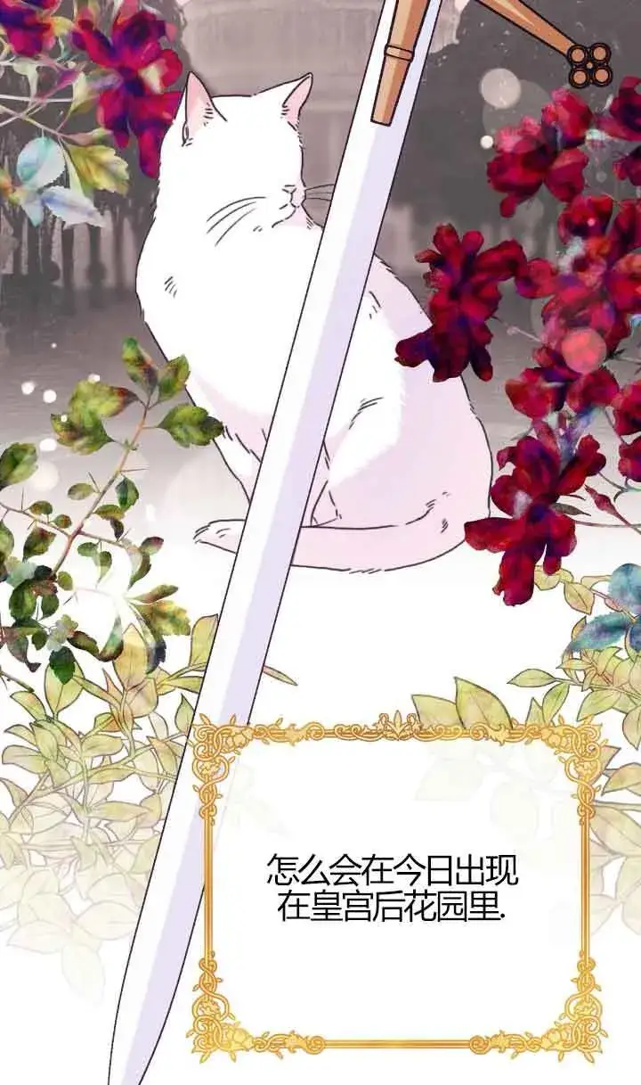 漫画《成了每晚和偏执暴君共眠的猫》第04话第19张图