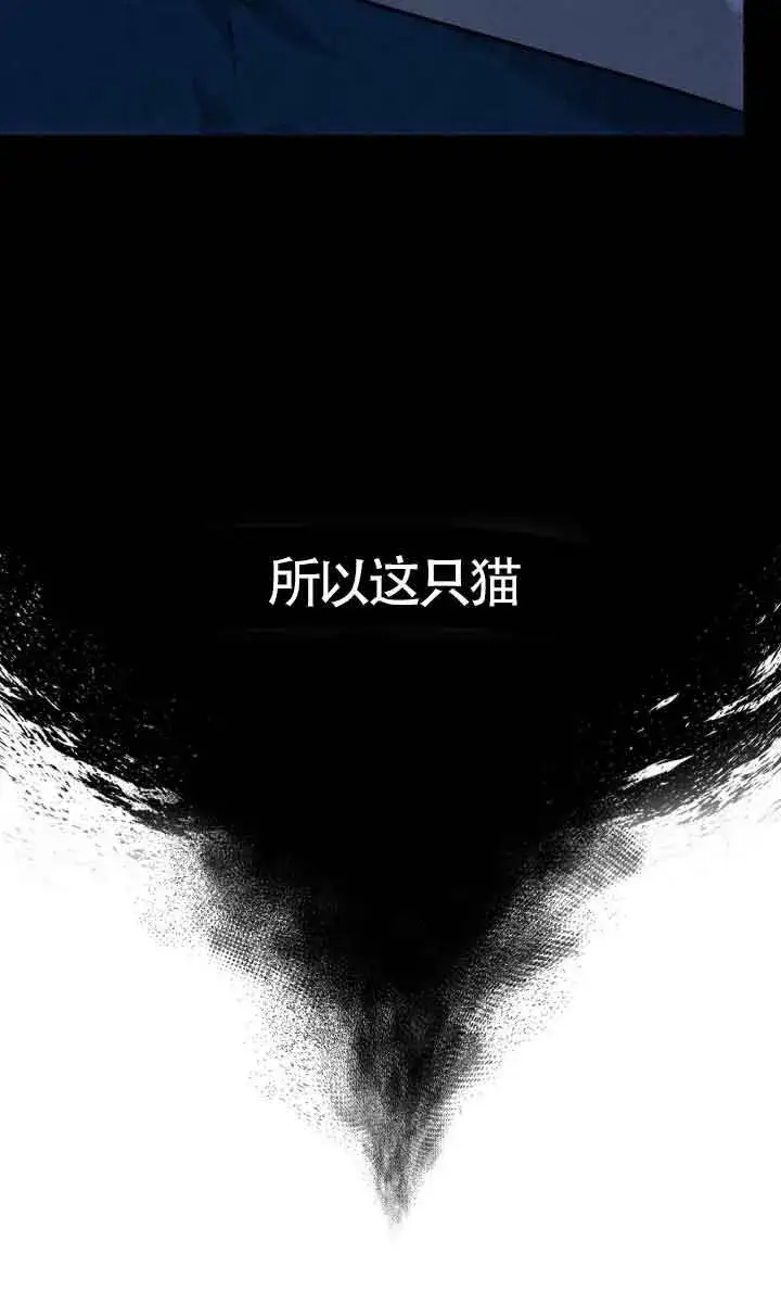 漫画《成了每晚和偏执暴君共眠的猫》第04话第30张图