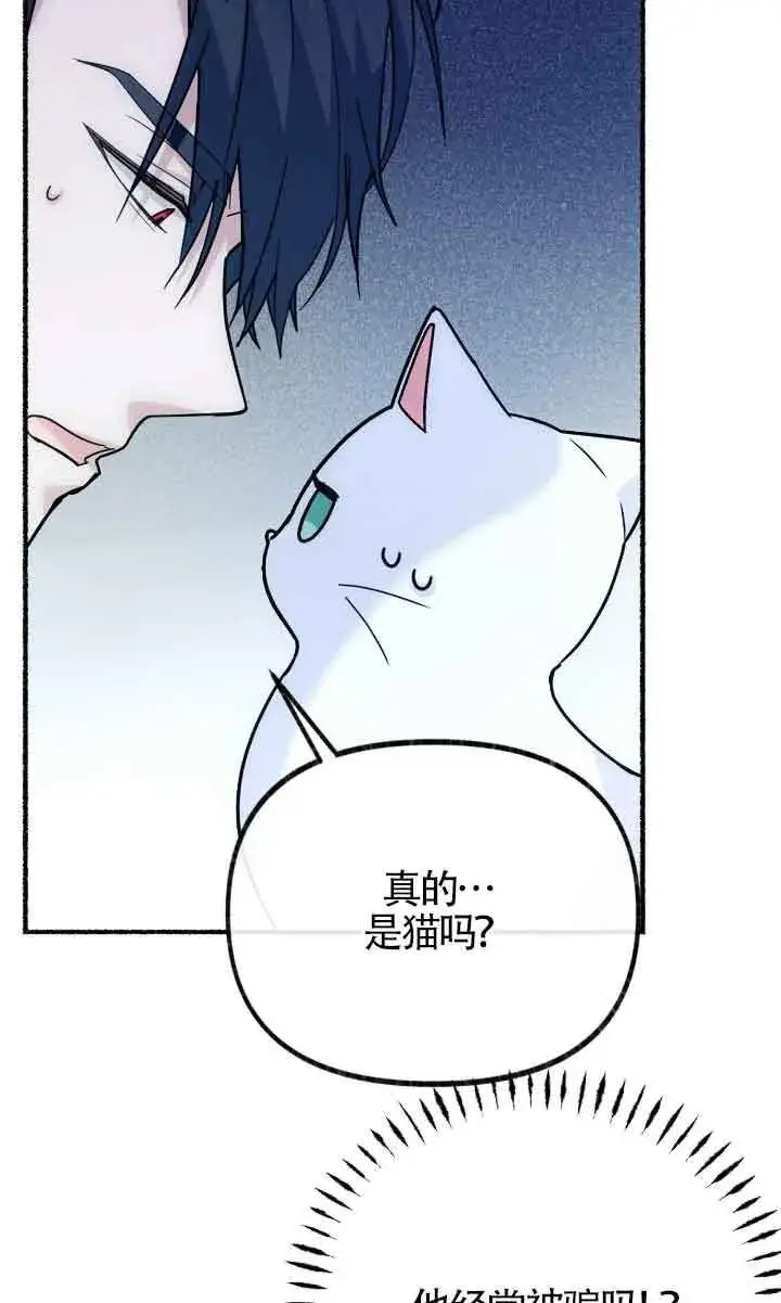漫画《成了每晚和偏执暴君共眠的猫》第04话第66张图