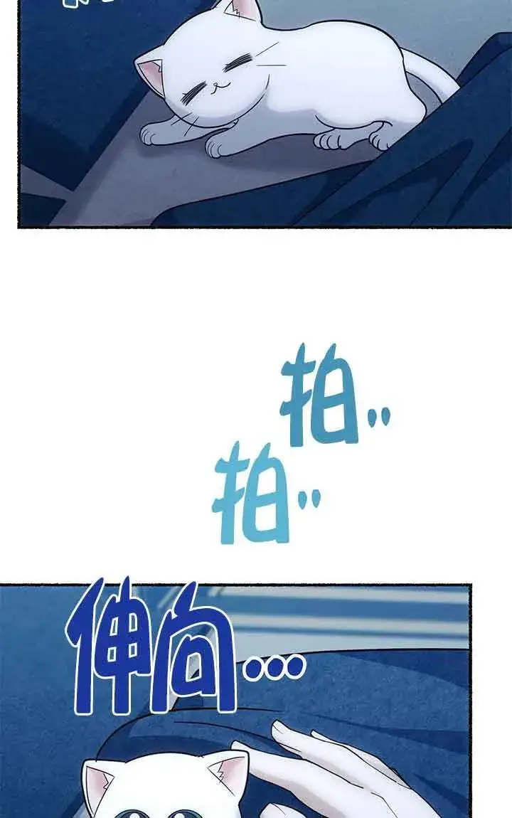 漫画《成了每晚和偏执暴君共眠的猫》第04话第92张图