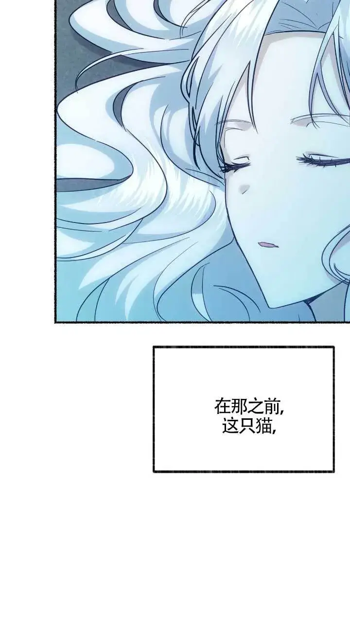 漫画《成了每晚和偏执暴君共眠的猫》第05话第19张图