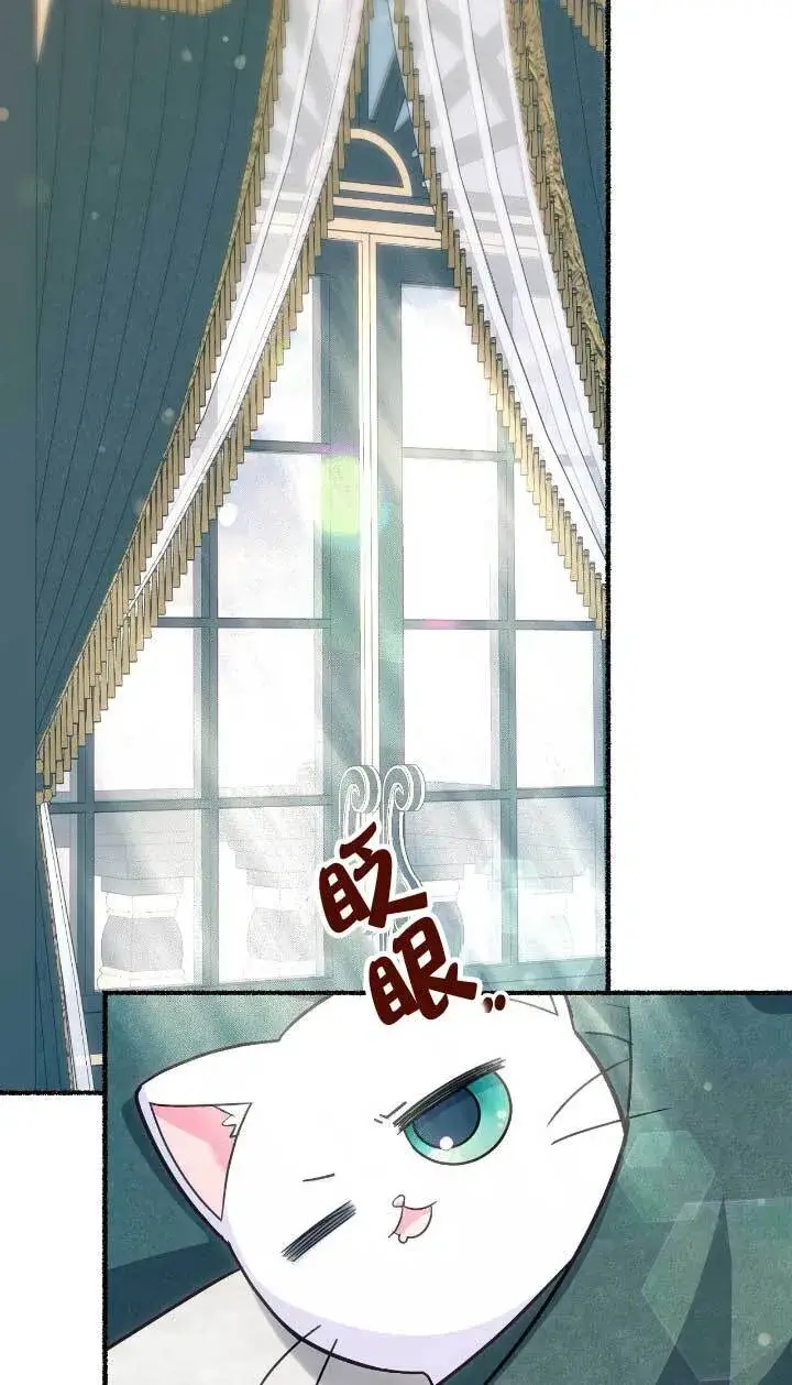 漫画《成了每晚和偏执暴君共眠的猫》第05话第28张图