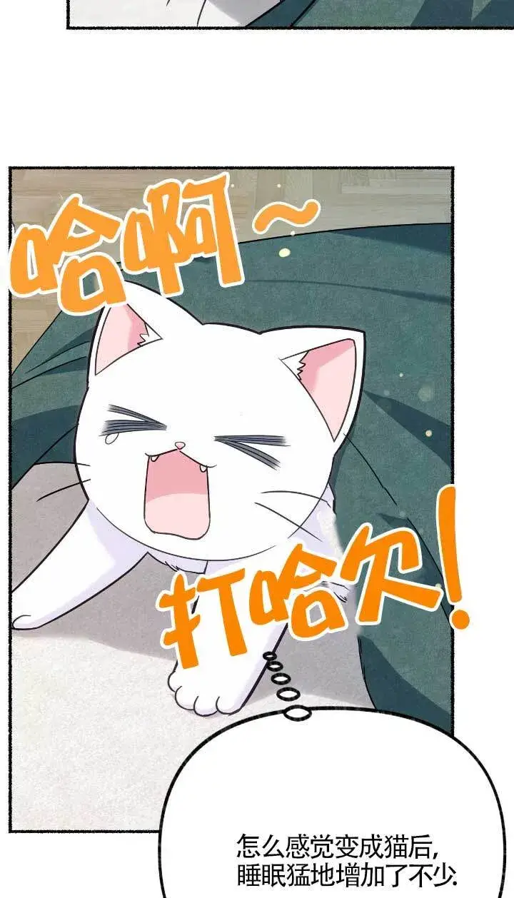漫画《成了每晚和偏执暴君共眠的猫》第05话第29张图