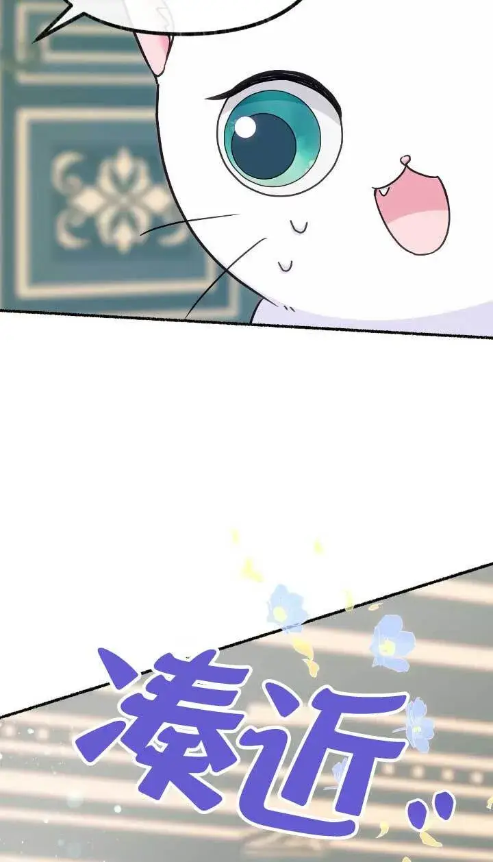 漫画《成了每晚和偏执暴君共眠的猫》第05话第34张图