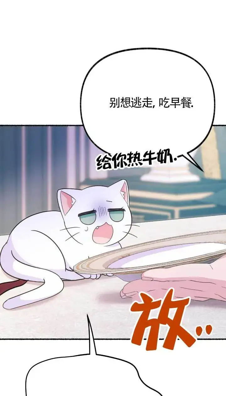 漫画《成了每晚和偏执暴君共眠的猫》第05话第37张图