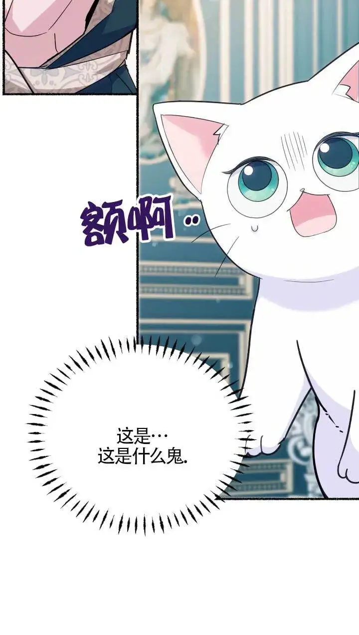 漫画《成了每晚和偏执暴君共眠的猫》第05话第48张图