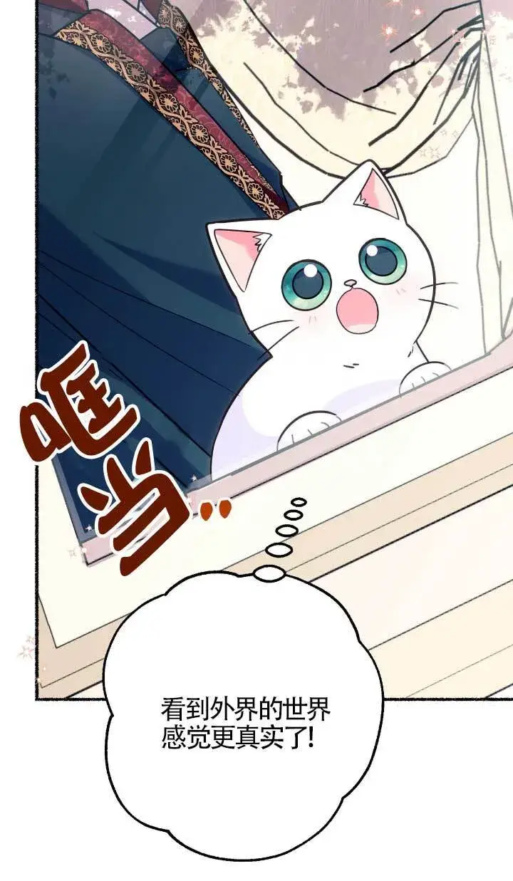 漫画《成了每晚和偏执暴君共眠的猫》第05话第68张图