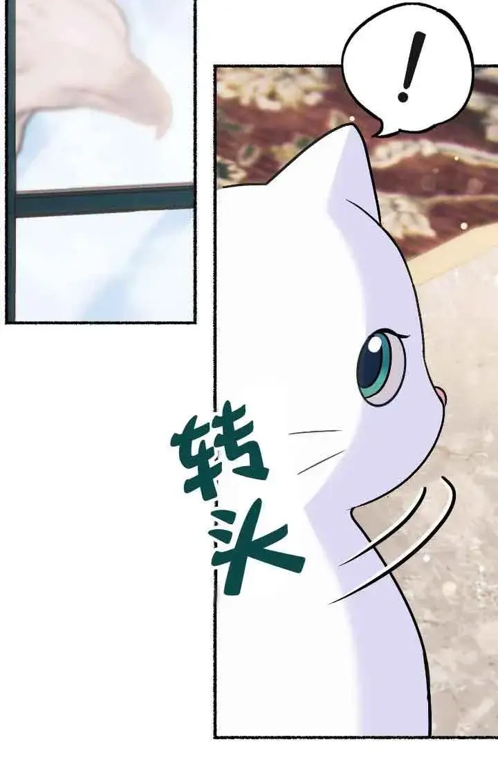 漫画《成了每晚和偏执暴君共眠的猫》第09话第12张图