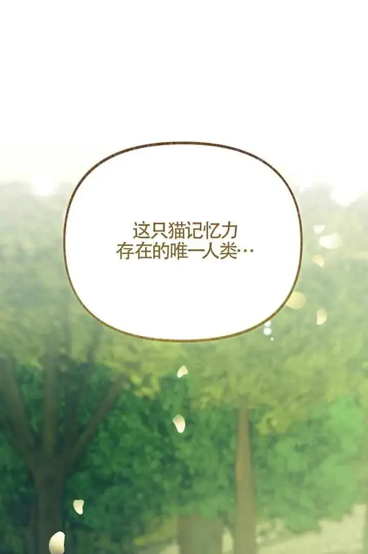 漫画《成了每晚和偏执暴君共眠的猫》第07话第113张图