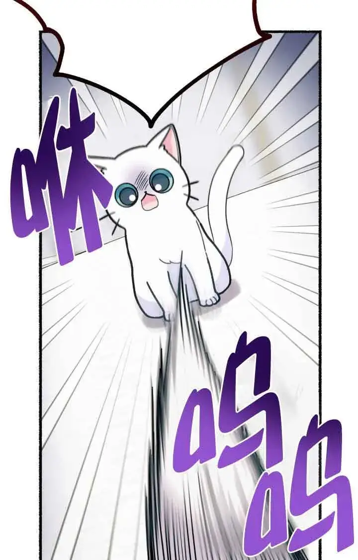 漫画《成了每晚和偏执暴君共眠的猫》第07话第19张图