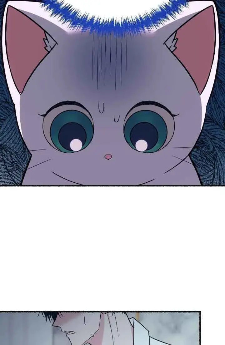 漫画《成了每晚和偏执暴君共眠的猫》第10话第13张图