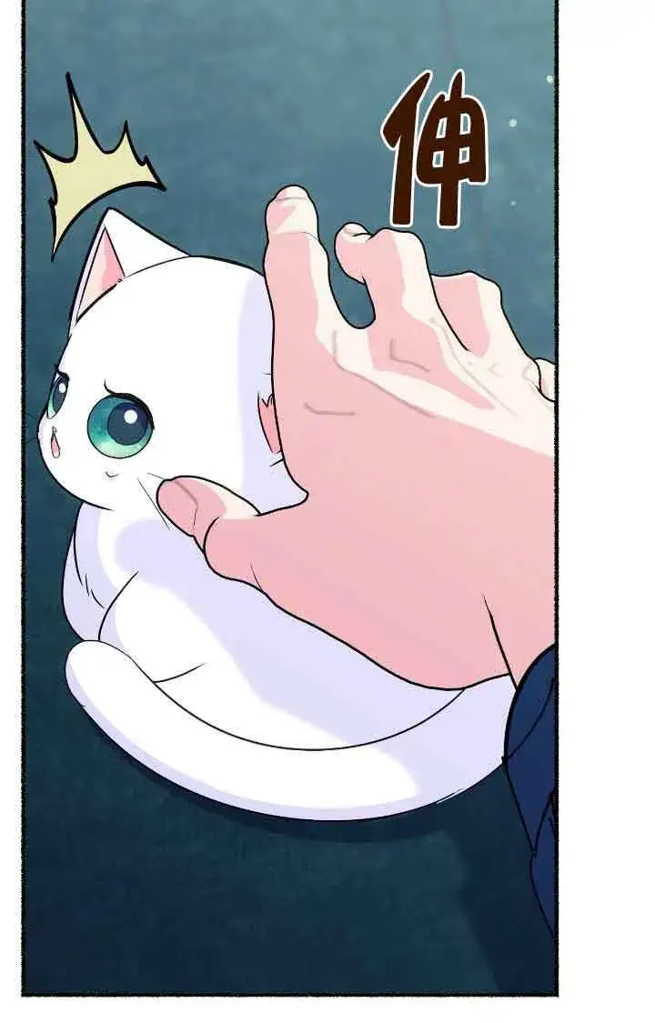 漫画《成了每晚和偏执暴君共眠的猫》第11话第10张图