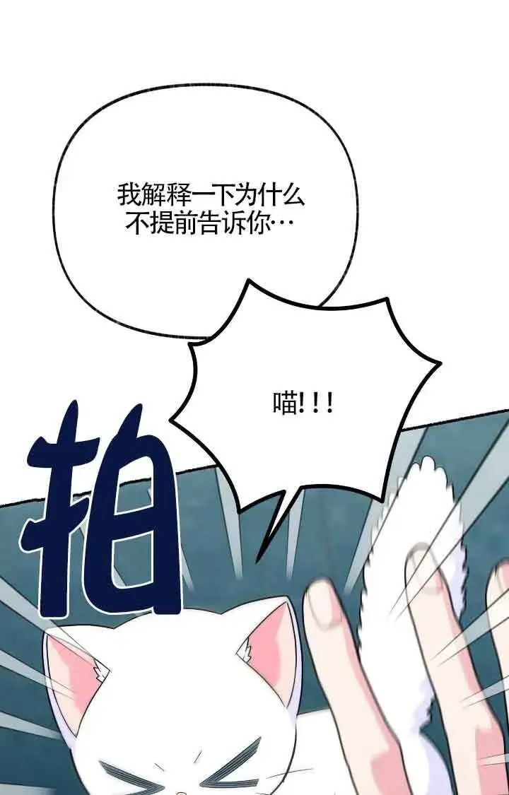 漫画《成了每晚和偏执暴君共眠的猫》第11话第11张图